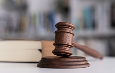 国内裁判例・審決例レポート 弁理士法人 深見特許事務所